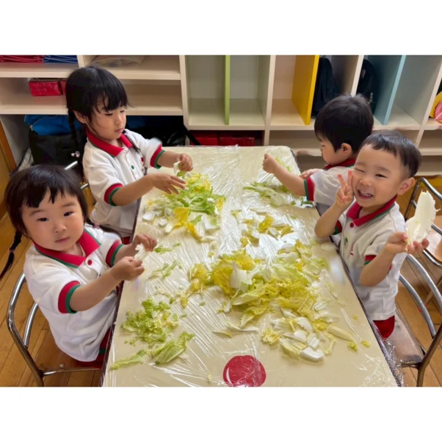 【もぐもぐDAY🍴 つぼみ〜ひかり組】

今回のもぐもぐDAYはつぼみ・はな組は白菜の食育体験を行いました🌱
つぼみ組は白菜を抱っこして、他にも玉ねぎ🧅やピーマン🫑に触れてみました！
はな組ではそのまま給食で使う白菜をちぎってもらいましたよ！
最初は恐る恐るの様子もありましたが、触ってみると楽しそうに積極的に取り組んでいました💪🏻

かわ・やま・ひかり組では『もぐもぐもぐ 〜おいしいやん〜』という紙芝居を見ました📖
この紙芝居を通して残さず食べることも大切ですが、まずは楽しみながら食べることを伝えることができたと思います💭
給食にはこんな食材が使われているんだよ！食べる時に見つけてみてね！と伝えると、さっそくたくさんのお友だちが声をかけてくれました🎶

これから1年間、楽しいもぐもぐDAYになるように私たちもぐもぐキッチンも頑張ります✨

#淡水幼稚園
#たんすいようちえん
#幼稚園
#保育園
#たんすい保育園
#たんすい和白保育園
#たんすい
#tansui
#tansuiyouchien
#福岡市博多区
#fukuoka
#kindergarten
#たんすいfamilia保育園 
#企業主導型保育園 
#たんすいケアルーム
#病児病後児保育
#児童発達支援事業所
#たんすいWAYルーム
#淡水さわら幼稚園
#もぐもぐDAY
#食育
#食育体験
#白菜
#紙芝居