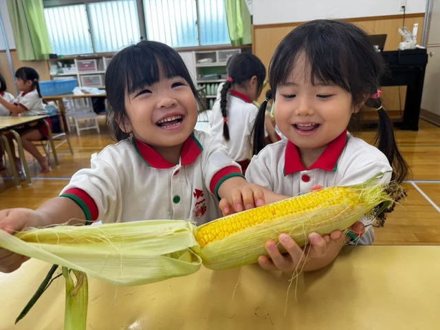 【食育体験　やま組】

今日は楽しみにしていた食育体験の日です✨
もぐもぐキッチンの先生からお野菜クイズがあり、皮付きのトウモロコシをもせてもらうと「何これ？」「トウモロコシ！」といろんな声が聞こえてきました。

まずは触って皮の感触を楽しんだ後は、皮をペリペリと剥いていきます。
2人で交代しながら、上手に剥いていきますが硬い部分になると剥くのが大変で「大丈夫？」「代わりにしようか？」と優しい思いやりのあるやりとりが見られましたよ！

2人で剥いたトウモロコシは、ツヤツヤで美味しそうですね！
向けた皮を匂ってみたり、トウモロコシのヒゲを触ってみたりと楽しむ姿が見られました🎵

その日のおやつには、やま組さんが剥いたトウモロコシが出てきましたよ！
美味しいねとお友だちと笑顔で話しながら食べる姿が見られ、自分たちで剥いたトウモロコシは特別な味になったと思います♪

次の食育体験は何かな〜と楽しみに待っているやま組さんです。
次回の食育体験が楽しみですね⭐︎

#淡水幼稚園
#たんすいようちえん
#幼稚園
#保育園
#たんすい保育園
#たんすい和白保育園
#たんすいfamilia保育園
#tansui
#tansuiyouchien
#福岡市博多区
#fukuoka
#kindergarten
#たんすいケアルーム
#病児病後児保育
#児童発達支援事業所
#たんすいWAYルーム
#たんすいさわら幼稚園
#やま組
#4歳児
#食育体験
#トウモロコシの皮剥き